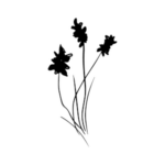 Plant drawing graphic.