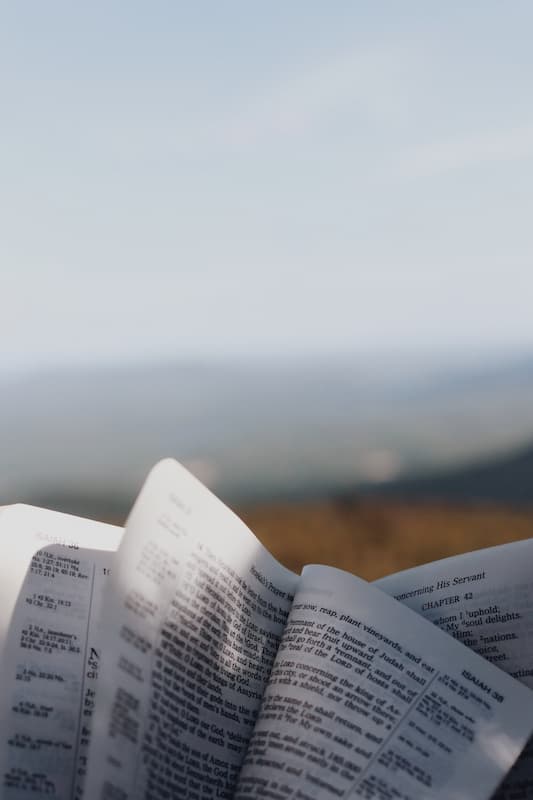 Open bible with the pages fluttering by the wind and a blurred out landscape background.
